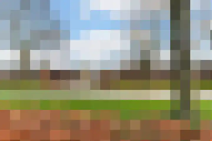 Hofstad 14 Waalwijk thumbnail 32