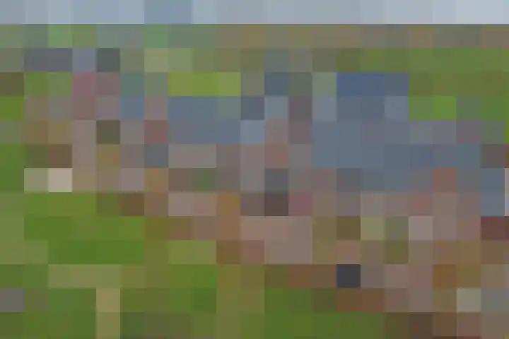 Hofstad 18 Esbeek thumbnail 25