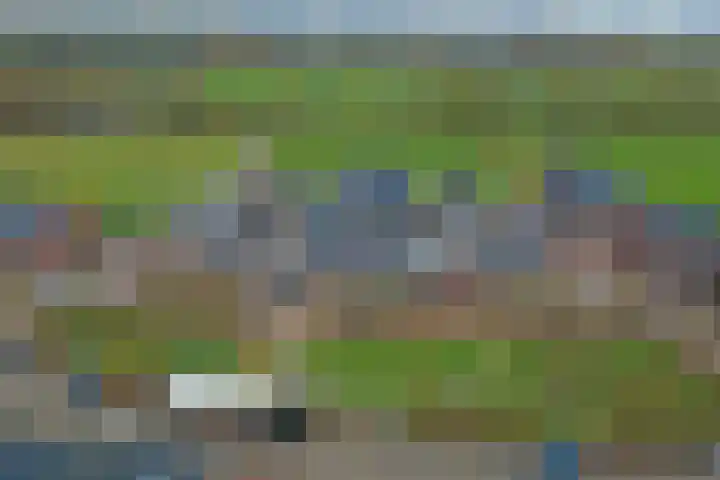 Hofstad 18 Esbeek thumbnail 26