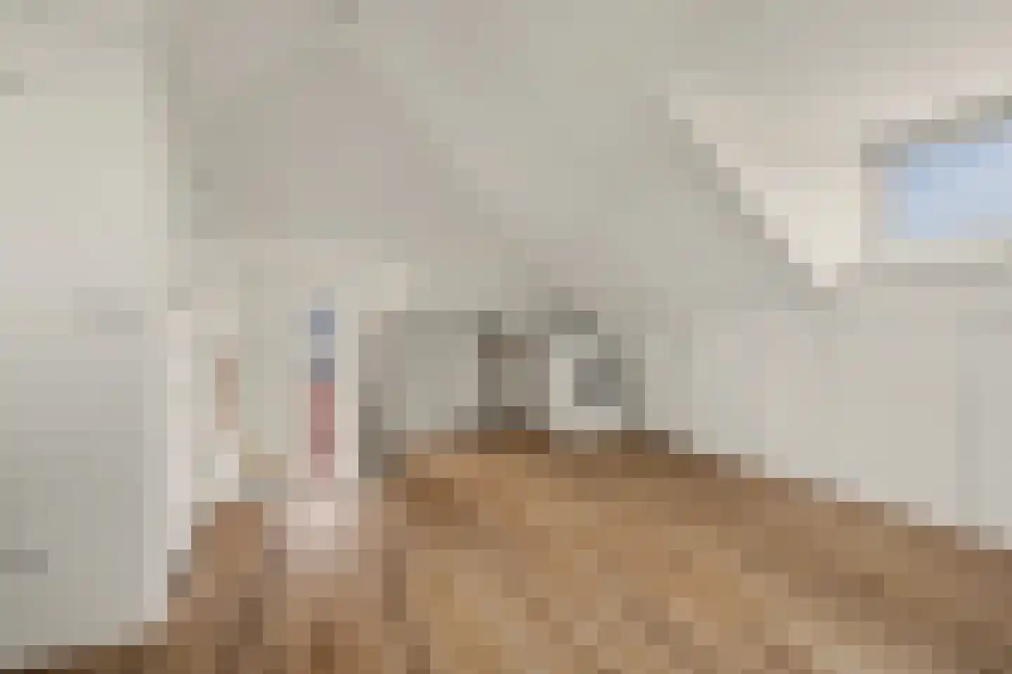 Hofstad 2 Esbeek thumbnail 30