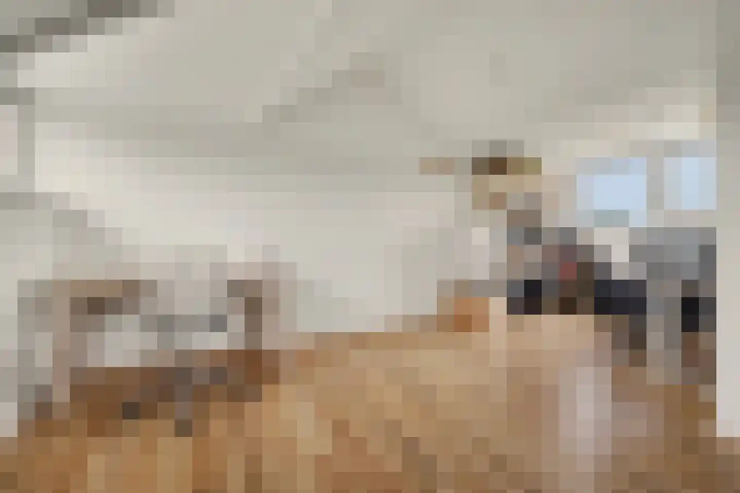 Hofstad 2 Esbeek thumbnail 31
