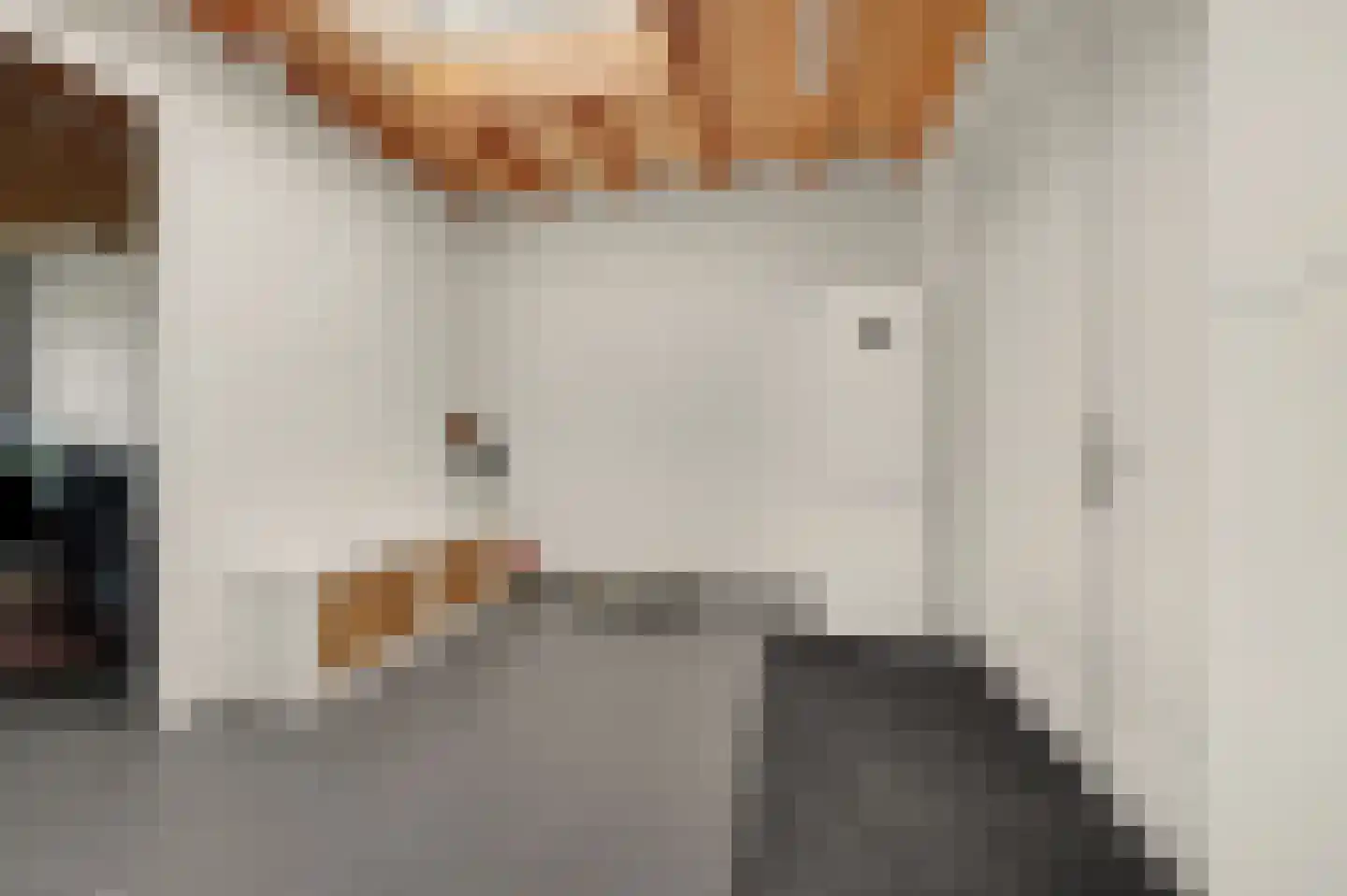 Hofstad 2 Esbeek thumbnail 33