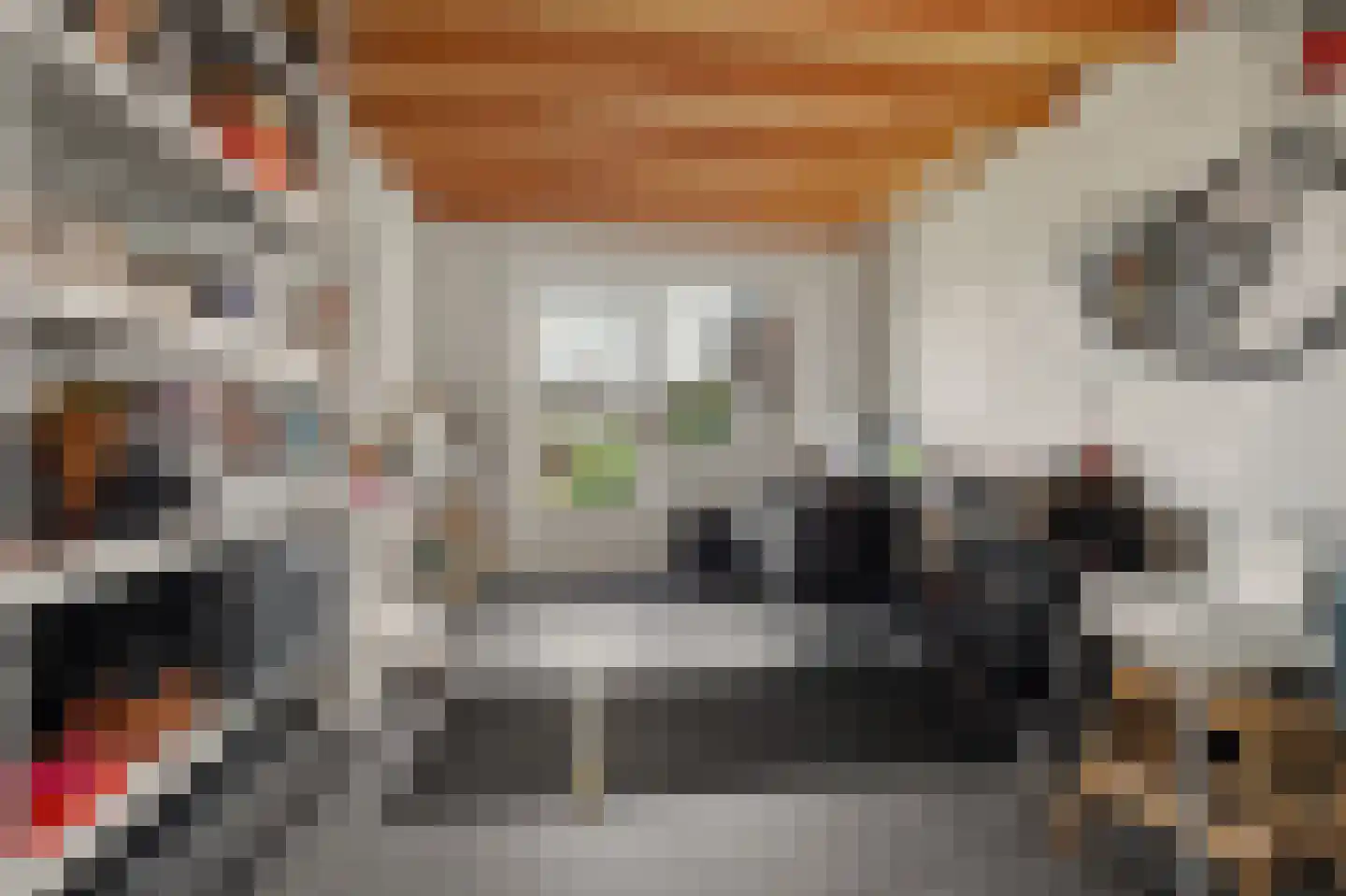 Hofstad 2 Esbeek thumbnail 34