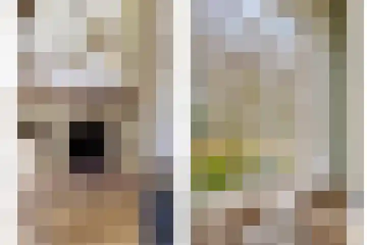 Hofstad 21 Bladel thumbnail 10