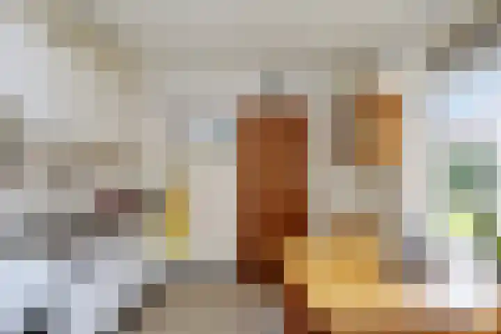 Hofstad 21 Bladel thumbnail 14