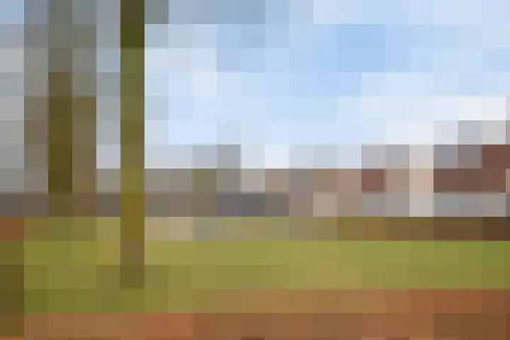 Hofstad 21 Bladel thumbnail 30