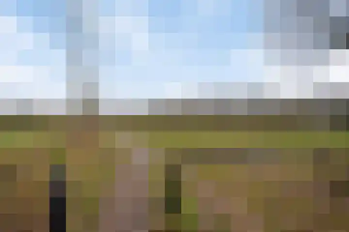Hofstad 21 Bladel thumbnail 31