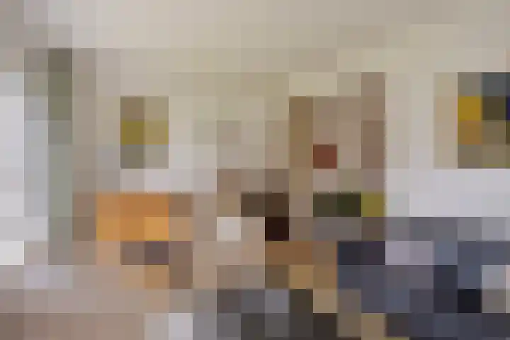 Hofstad 21 Bladel thumbnail 9