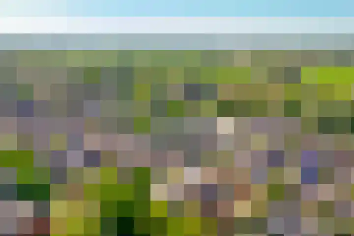Hofstad 23 Tiel thumbnail 39