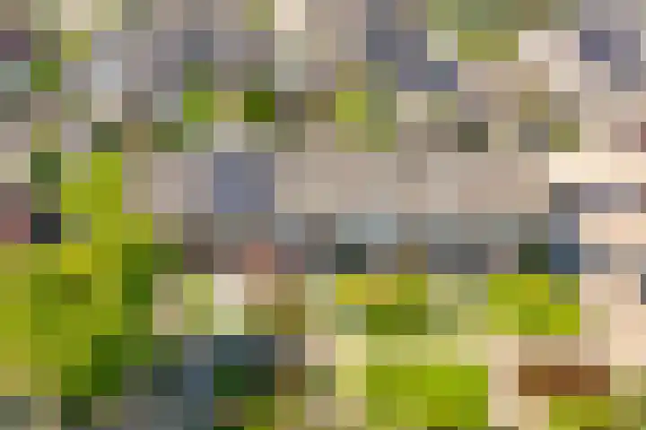 Hofstad 23 Tiel thumbnail 5