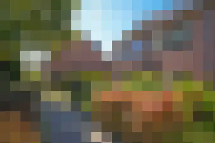 Hofstad 23 Tiel thumbnail 7