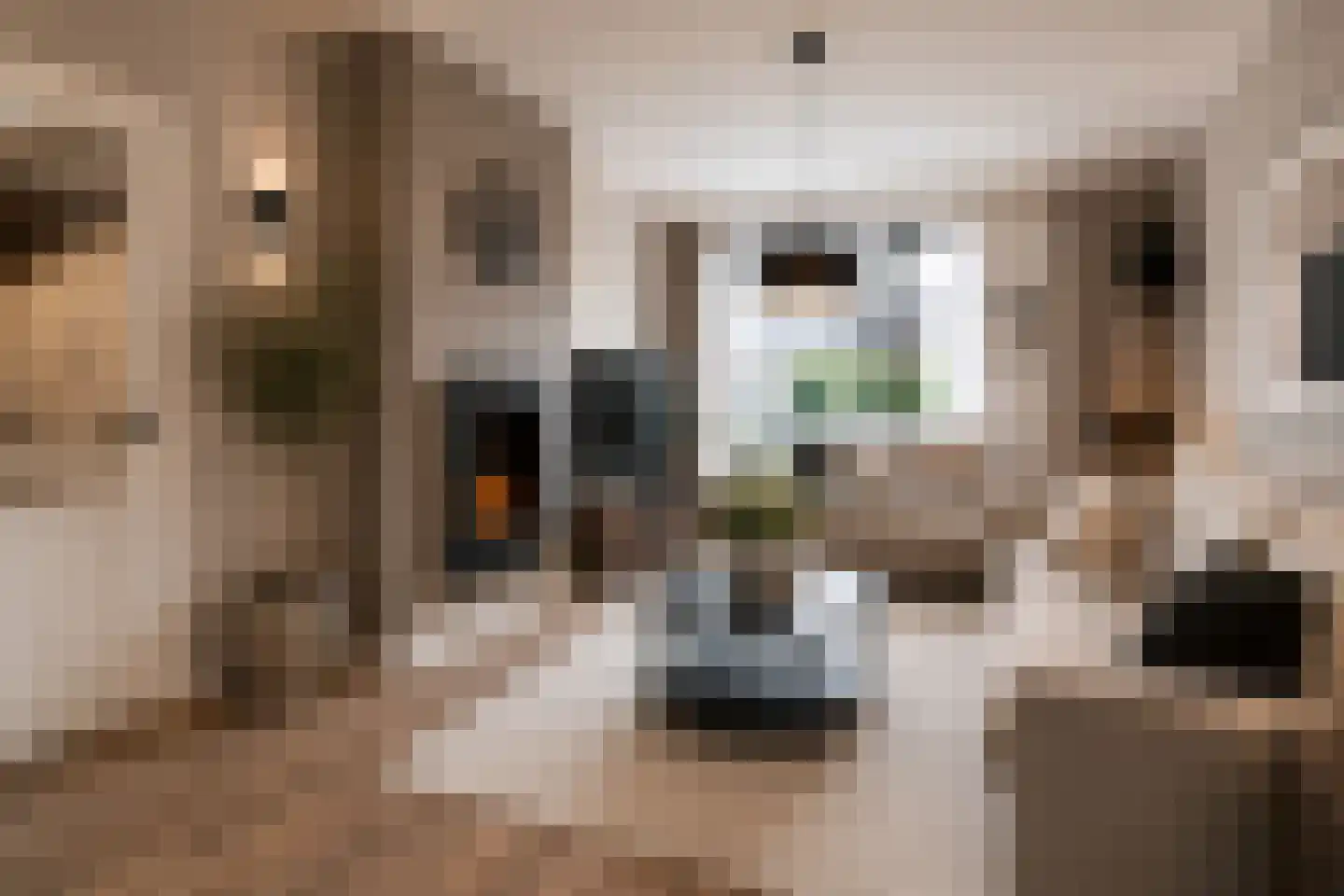 Hofstad 26 Tiel thumbnail 20