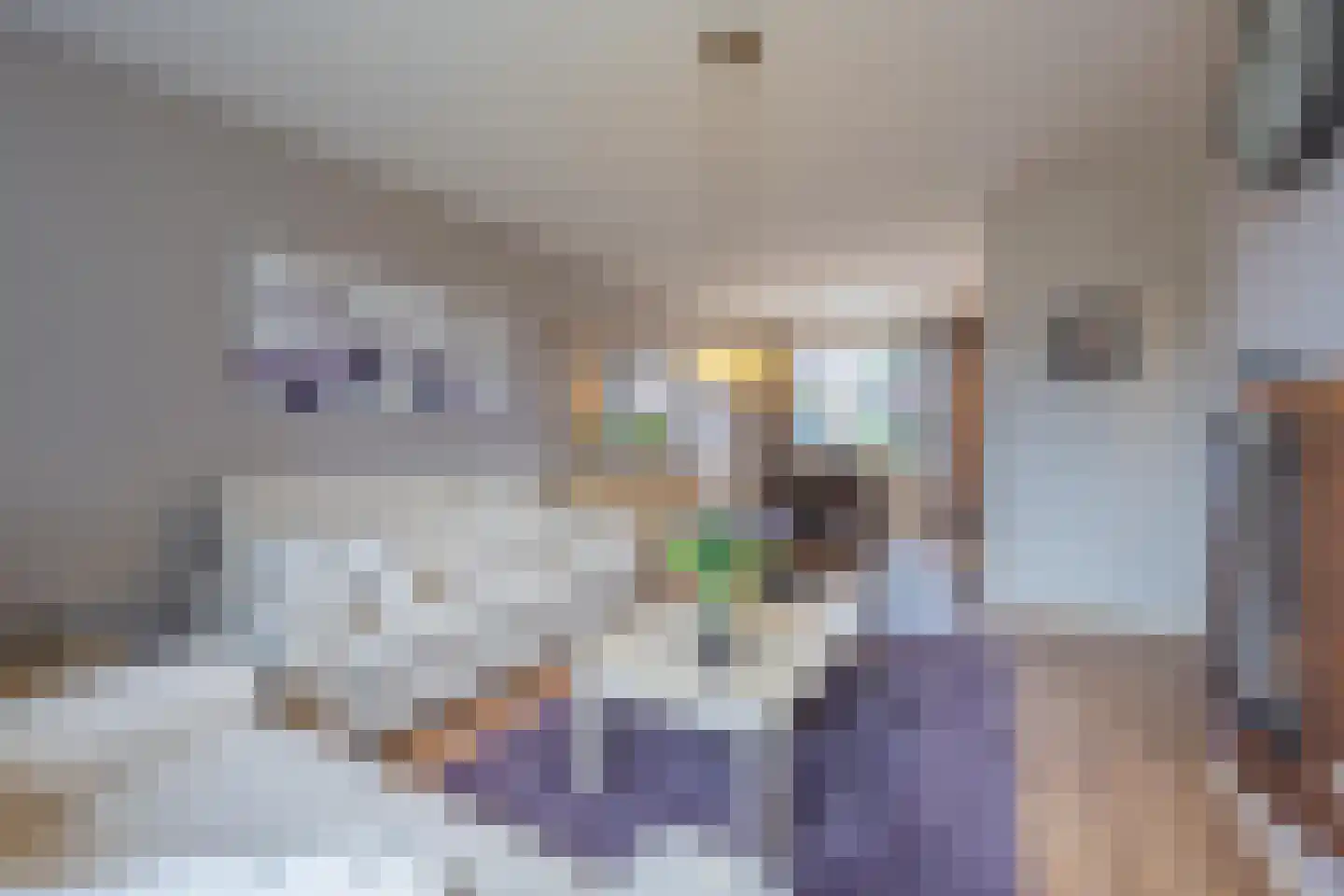 Hofstad 26 Tiel thumbnail 21
