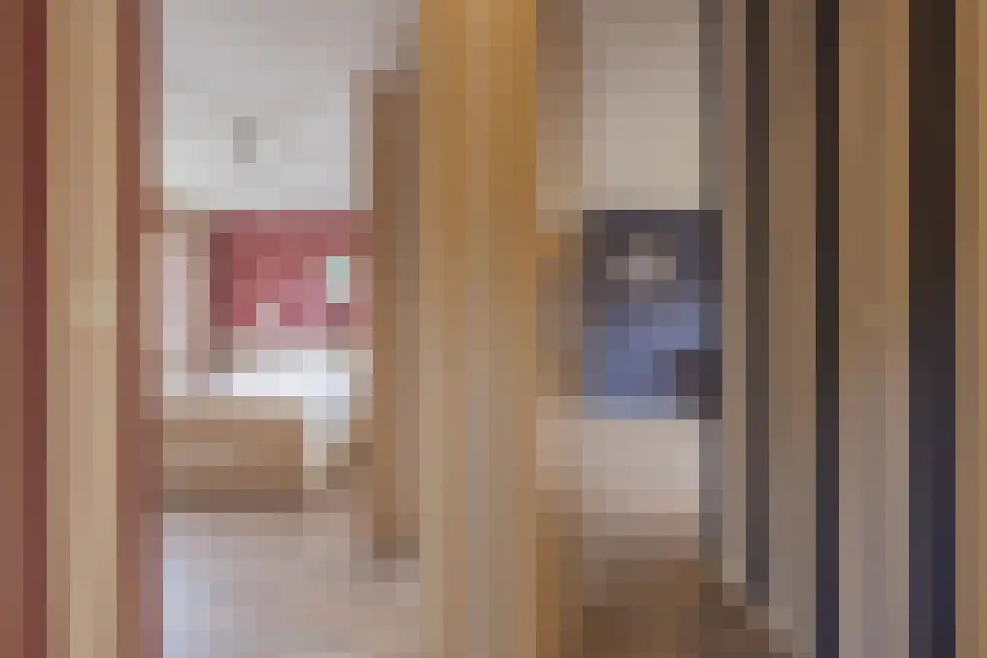 Hofstad 26 Tiel thumbnail 37