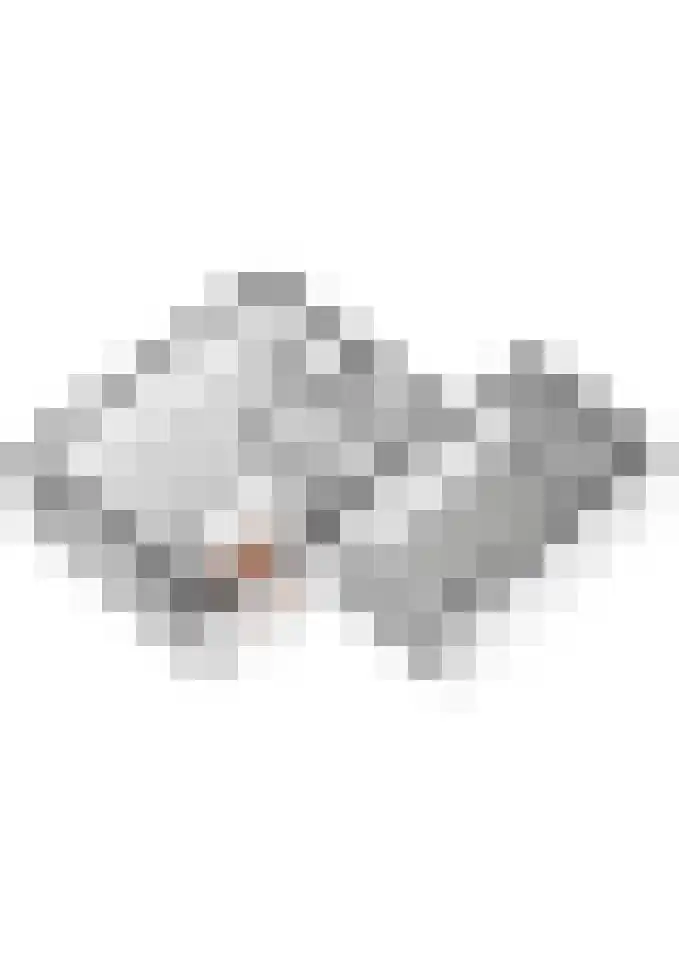 Hofstad 26 Tiel thumbnail 68