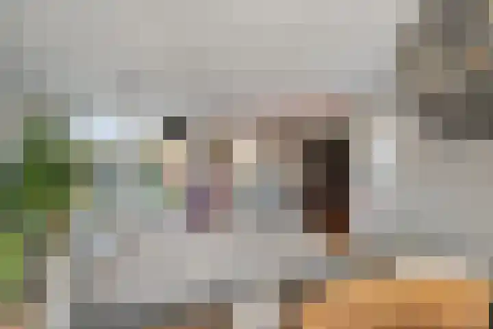 Hofstad 27 Veldhoven thumbnail 10