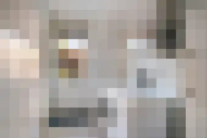 Hofstad 27 Veldhoven thumbnail 21
