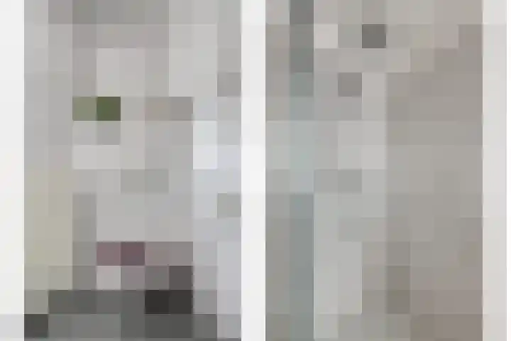 Hofstad 27 Veldhoven thumbnail 31