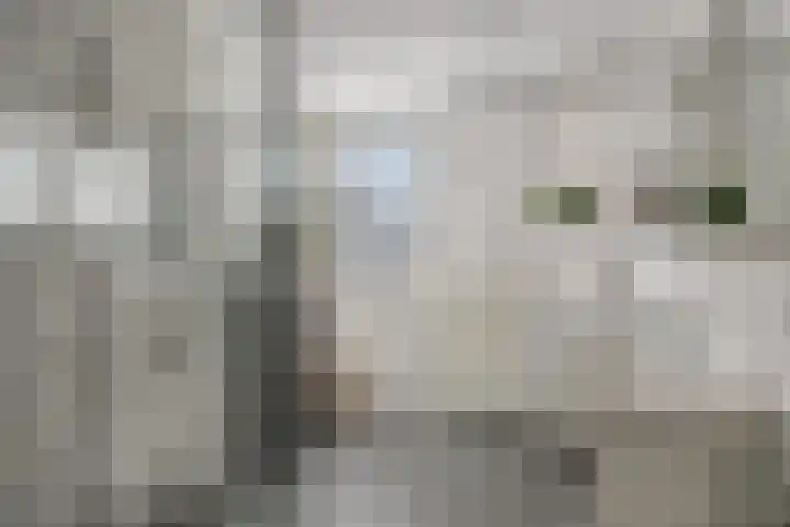 Hofstad 27 Veldhoven thumbnail 33