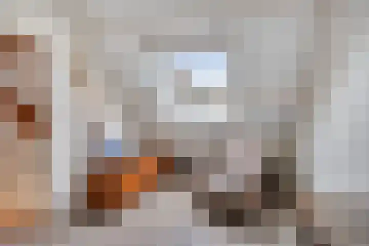 Hofstad 27 Veldhoven thumbnail 35