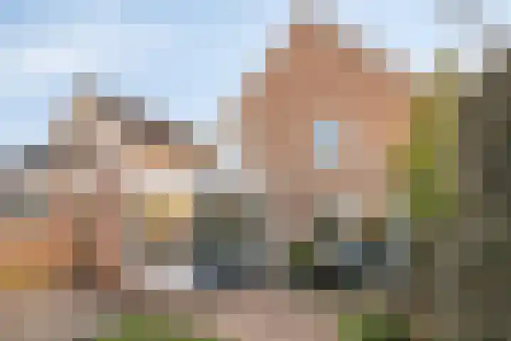 Hofstad 27 Veldhoven thumbnail 43