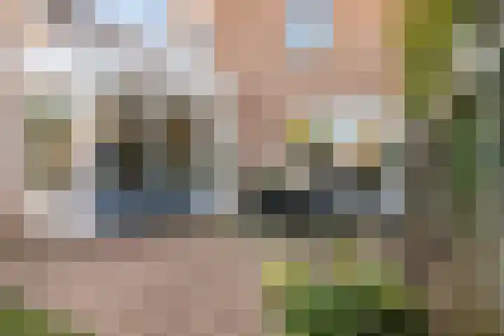 Hofstad 27 Veldhoven thumbnail 44