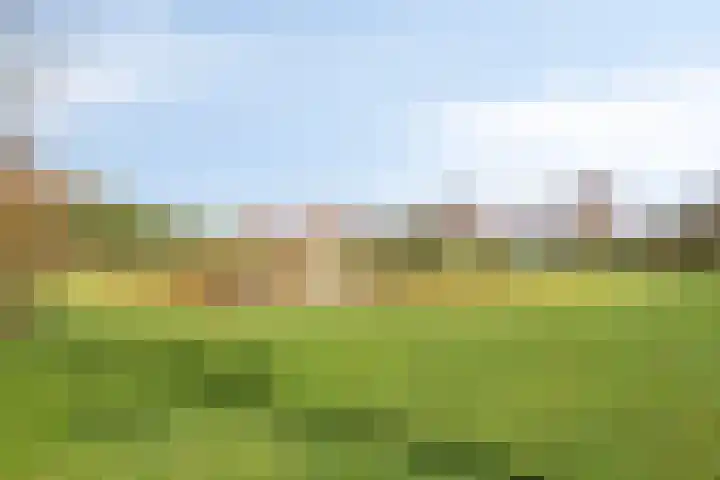 Hofstad 27 Veldhoven thumbnail 56