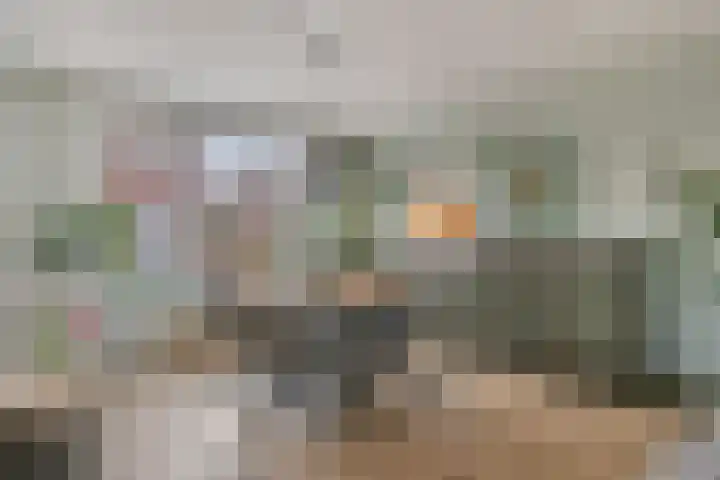 Hofstad 27 Veldhoven thumbnail 9