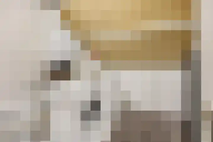 Hofstad 46 Tiel thumbnail 37