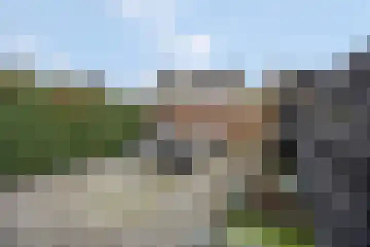 Hofstad 46 Tiel thumbnail 41