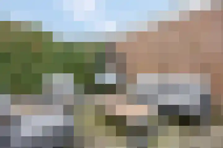 Hofstad 46 Tiel thumbnail 42