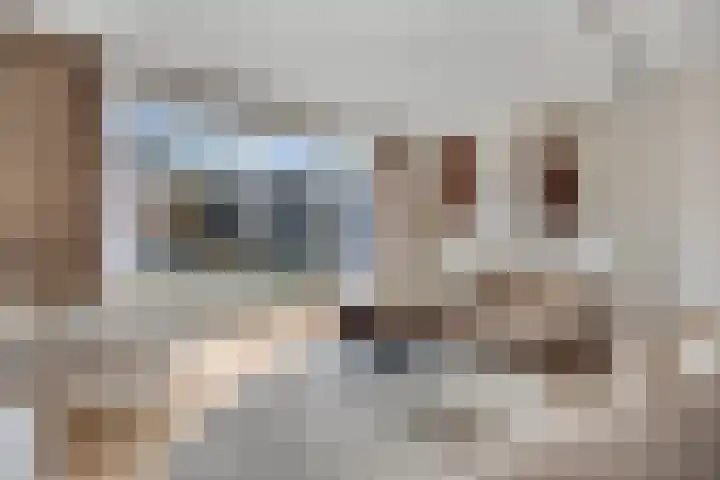 Hofstad 46 Tiel thumbnail 9