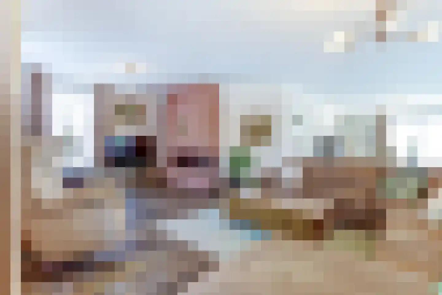 Hofstad 5 A Bladel thumbnail 9