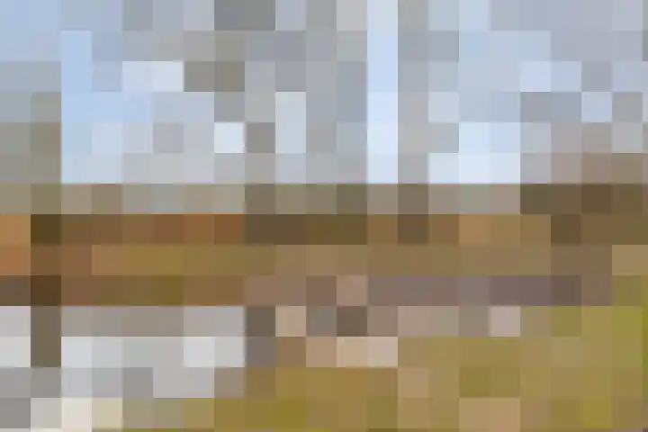 Hofstad 7 Helmond thumbnail 39