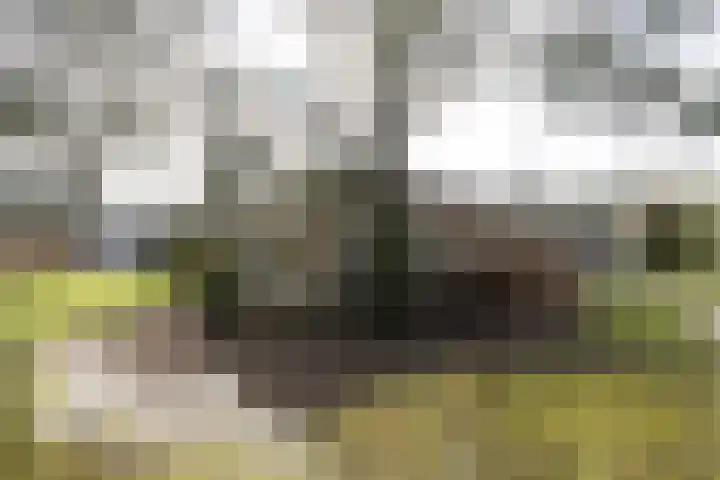 Hofstad 7 Helmond thumbnail 41