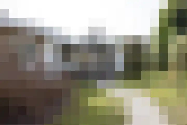 Hofstad 7 Helmond thumbnail 49