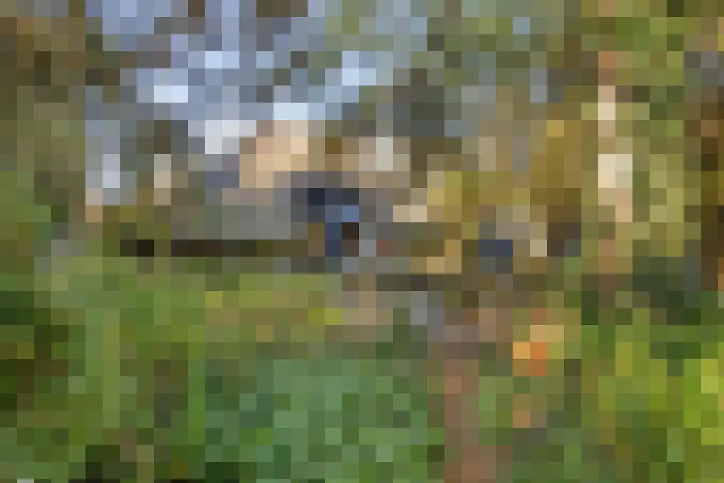 Hofstad 8 Wagenberg thumbnail 55