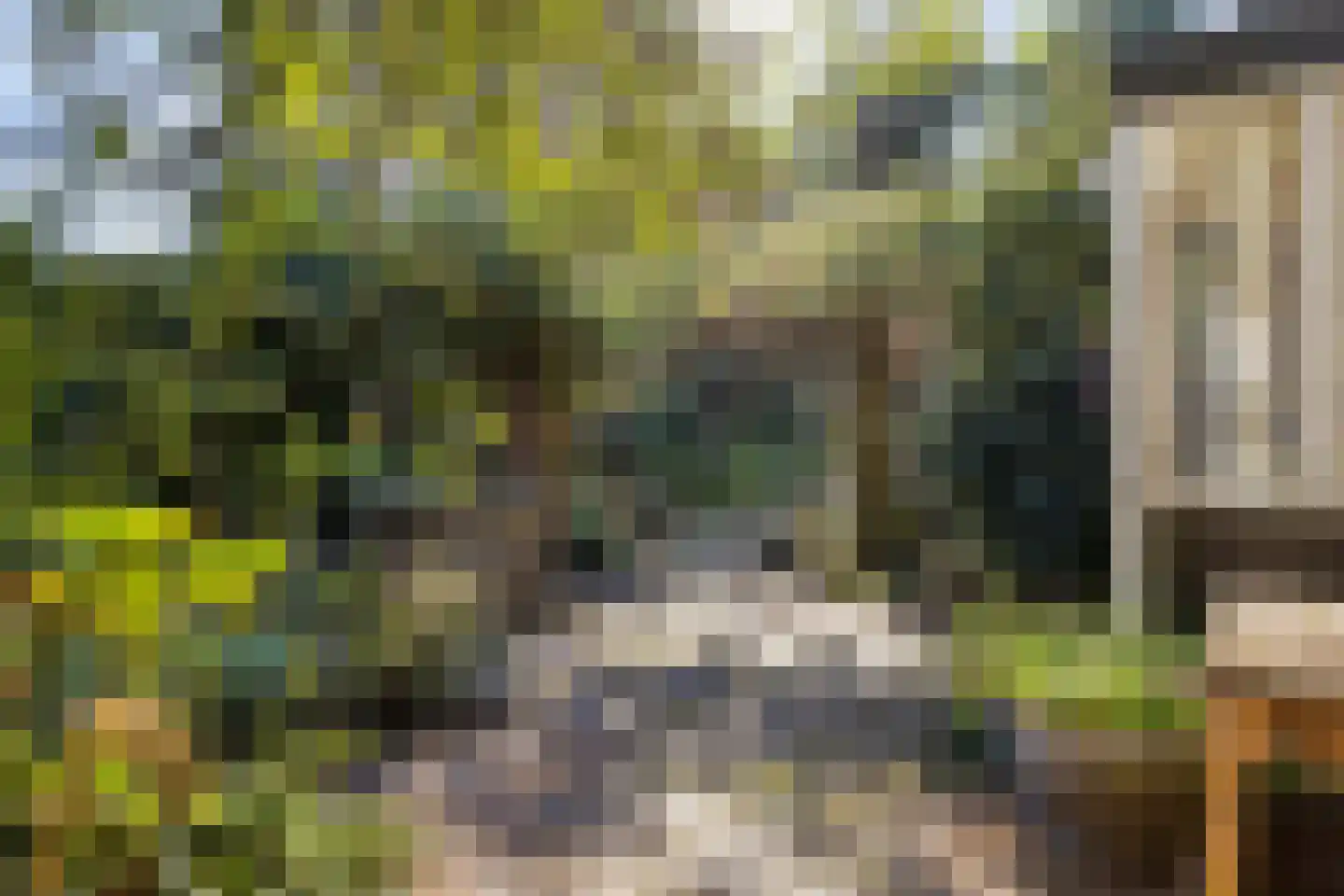 Hofstad 8 Wagenberg thumbnail 56