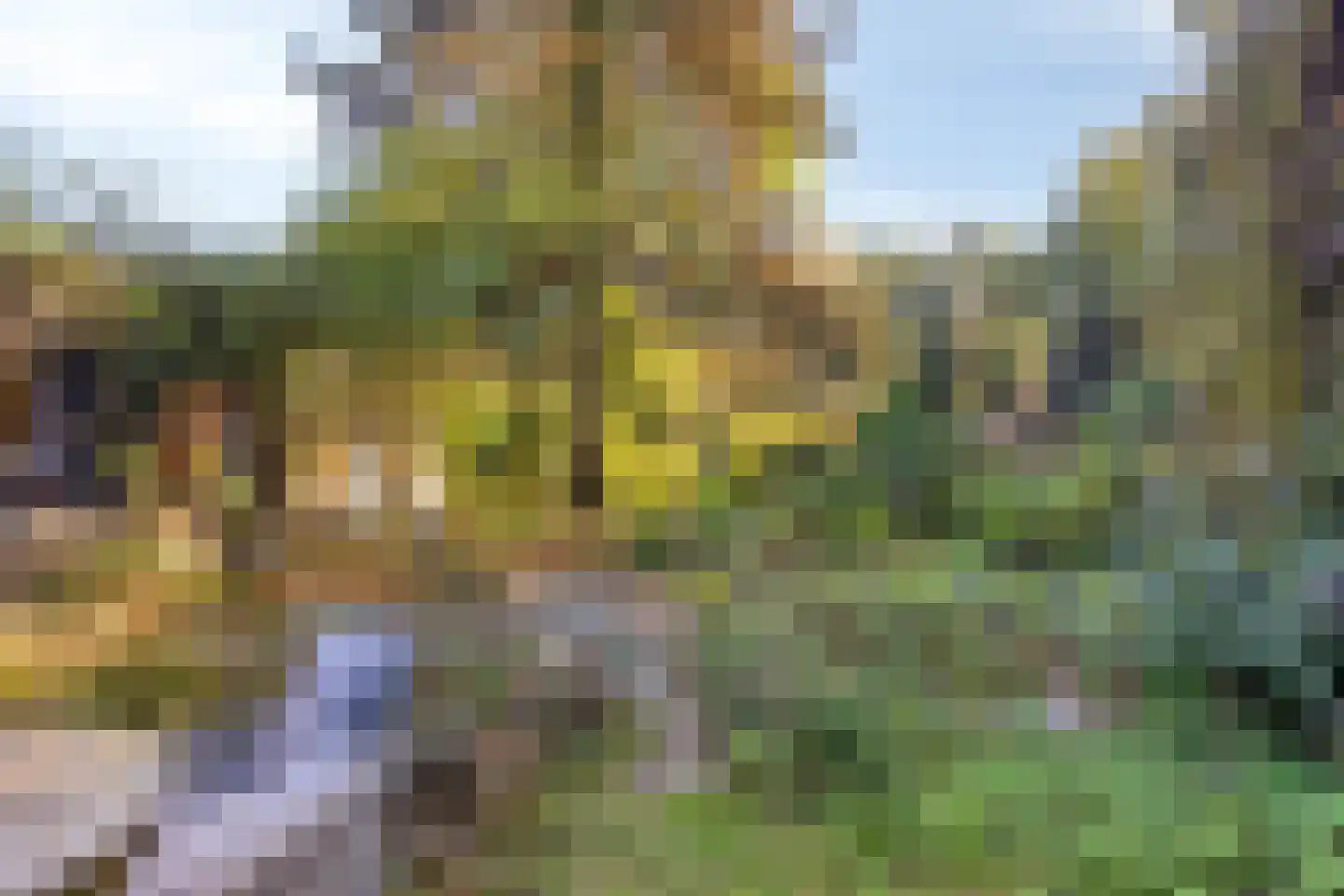 Hofstad 8 Wagenberg thumbnail 58