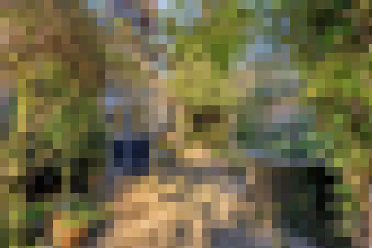 Hofstad 8 Wagenberg thumbnail 59