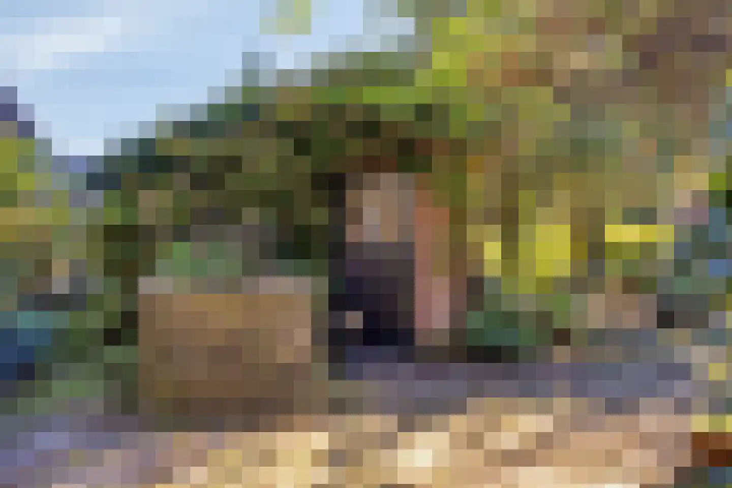 Hofstad 8 Wagenberg thumbnail 60