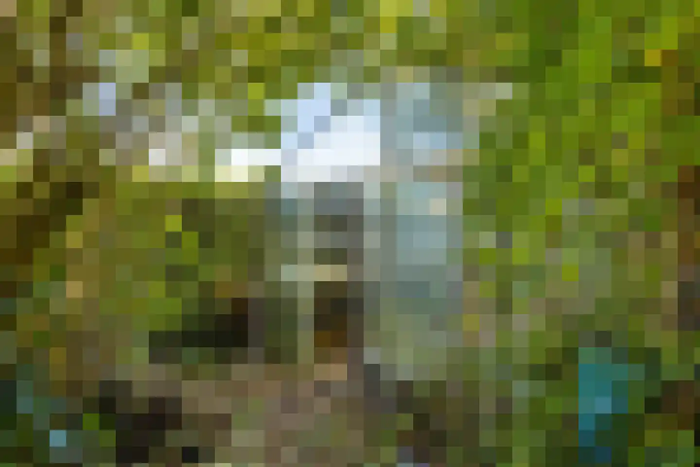 Hofstad 8 Wagenberg thumbnail 68