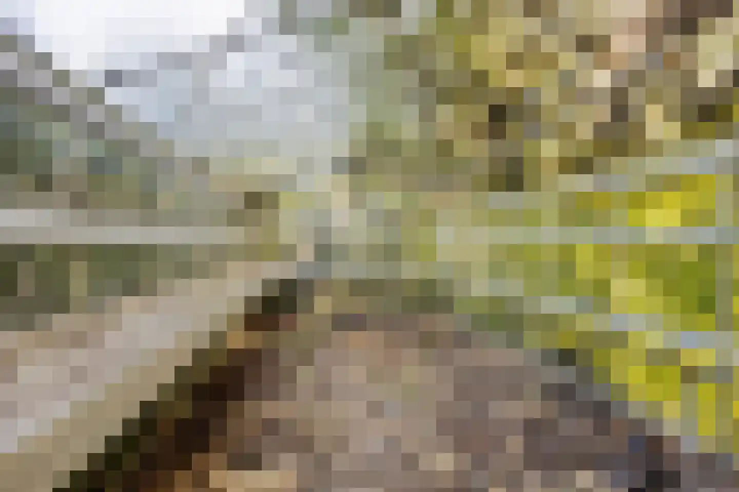 Hofstad 8 Wagenberg thumbnail 69