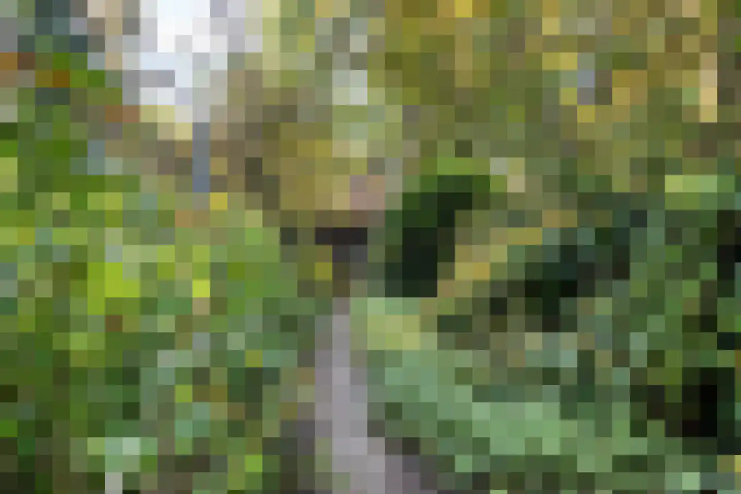 Hofstad 8 Wagenberg thumbnail 73