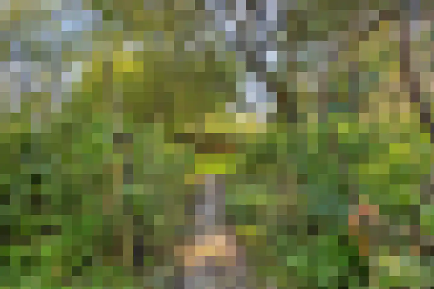 Hofstad 8 Wagenberg thumbnail 74