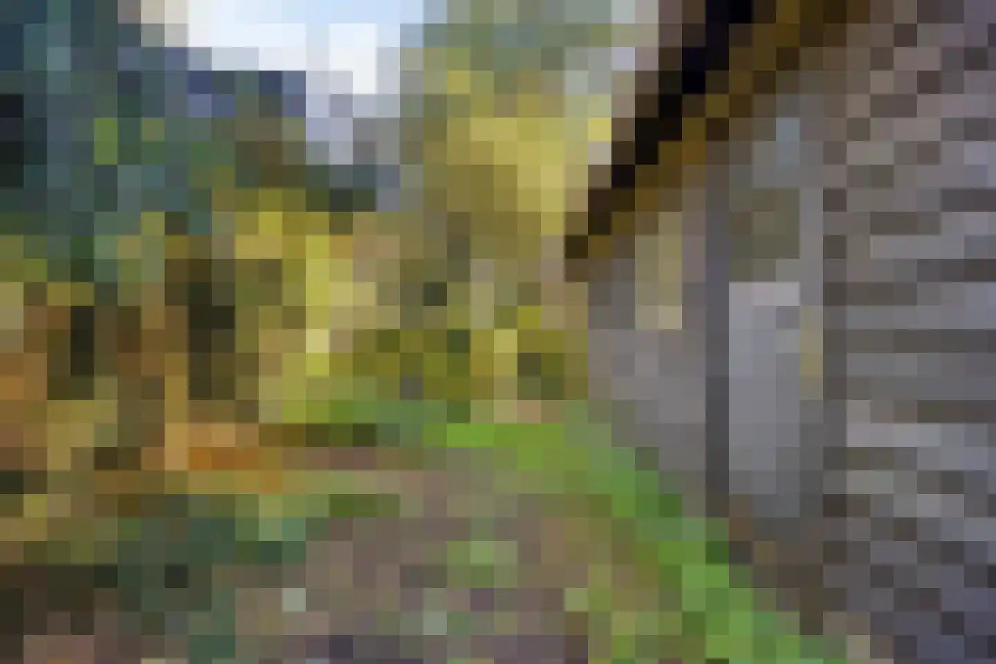 Hofstad 8 Wagenberg thumbnail 75
