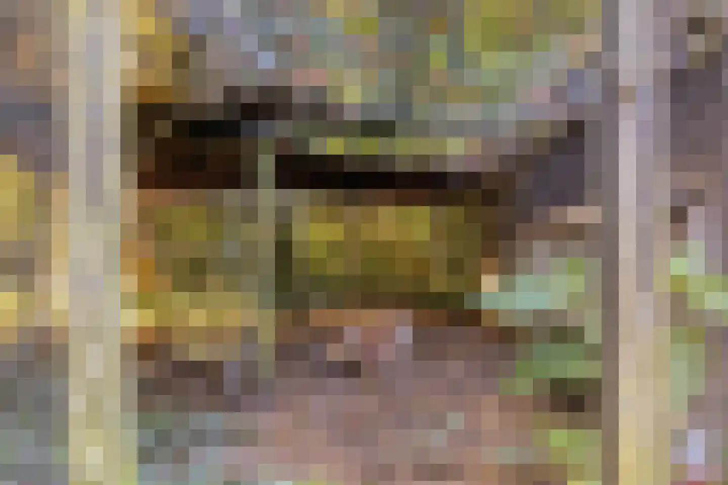 Hofstad 8 Wagenberg thumbnail 76