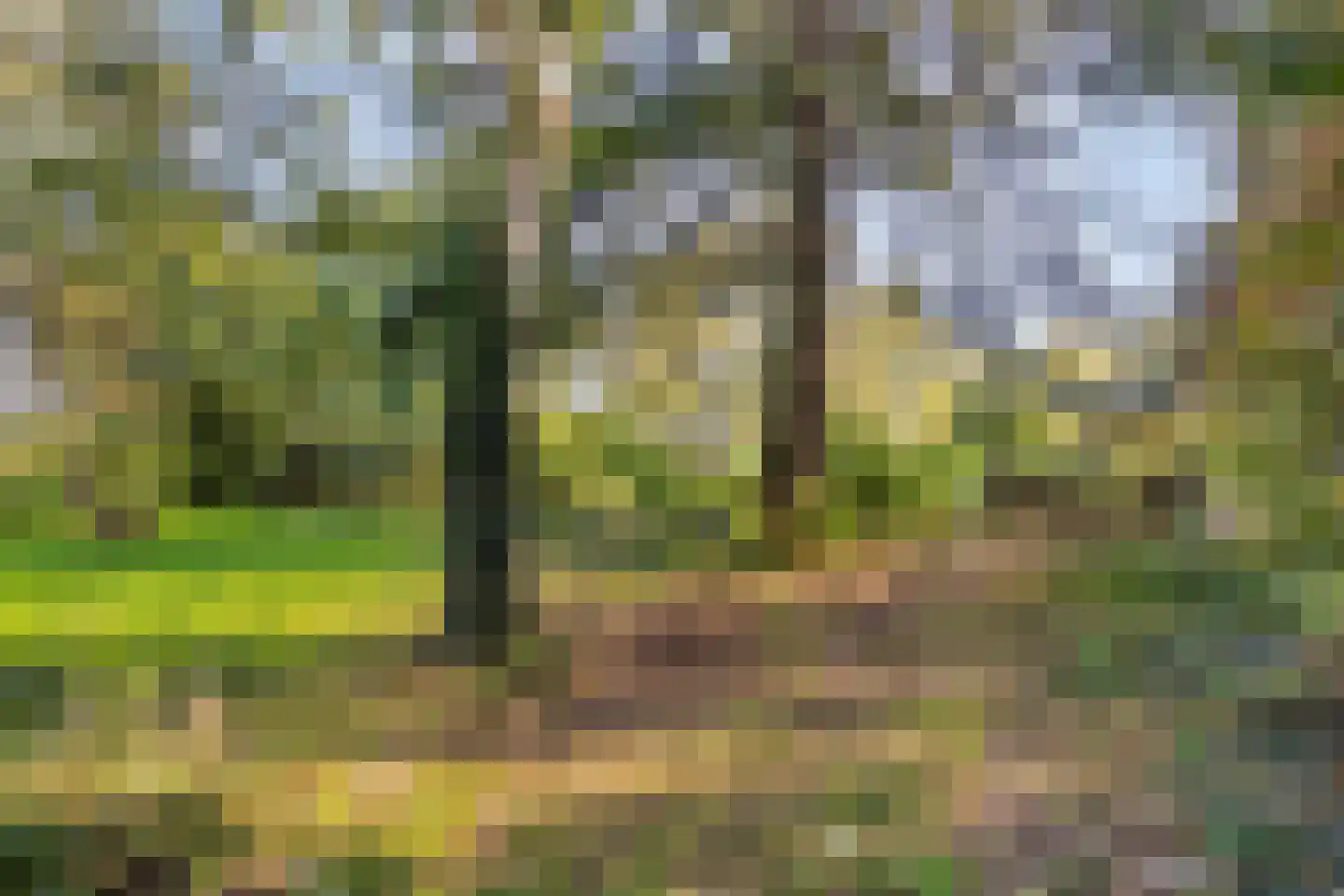 Hofstad 8 Wagenberg thumbnail 79