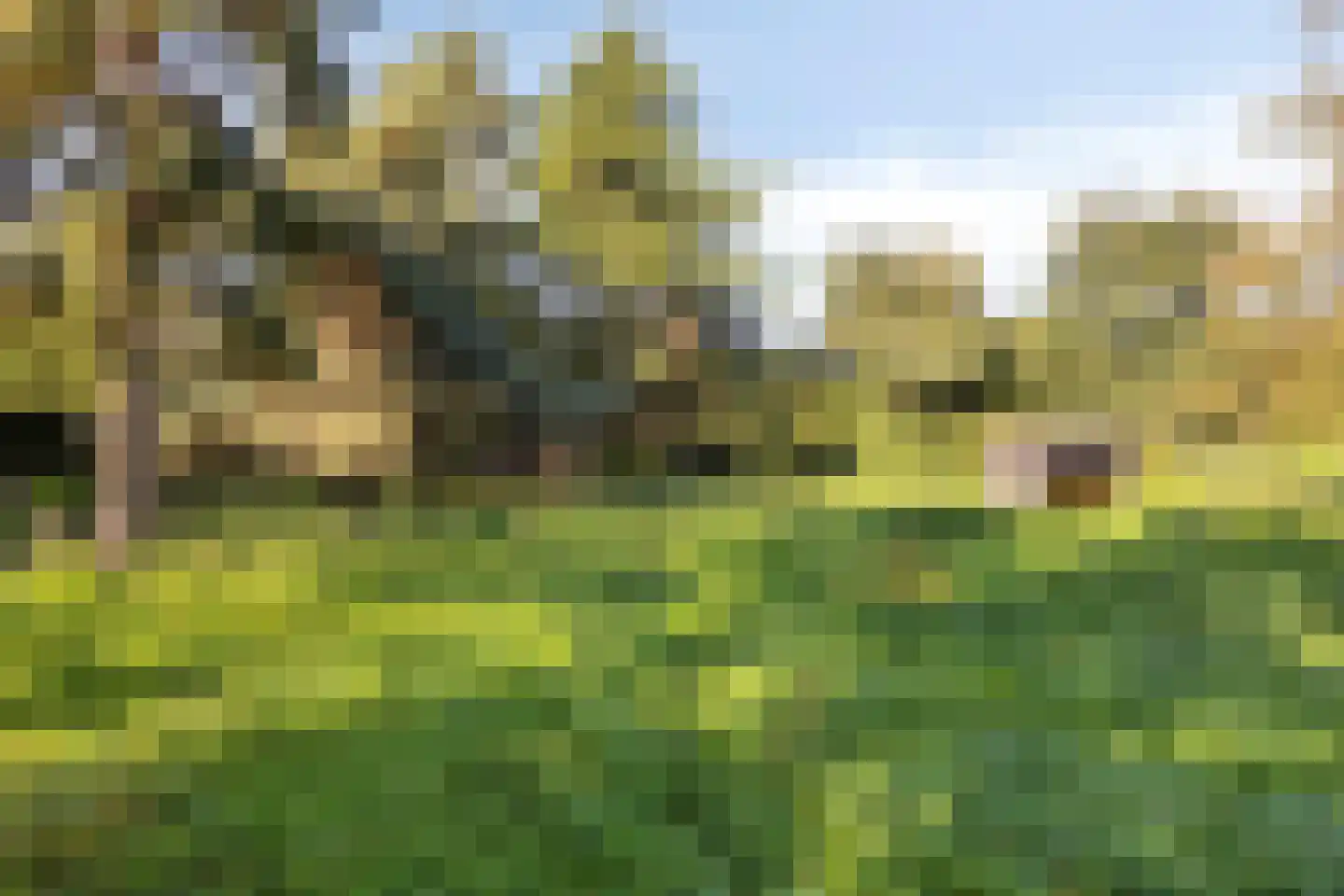 Hofstad 8 Wagenberg thumbnail 83
