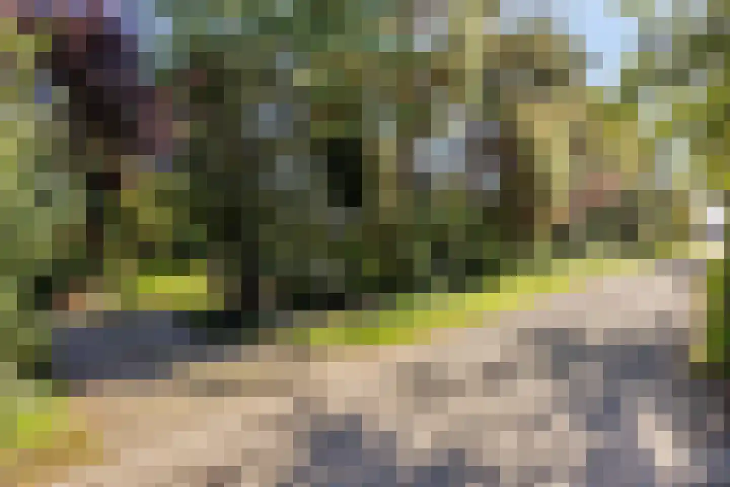 Hofstad 8 Wagenberg thumbnail 86